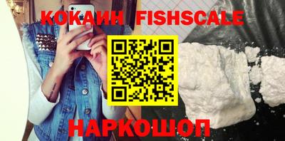 индика Гатчина