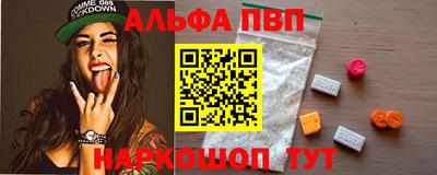 индика Гатчина