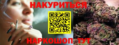 индика Гатчина
