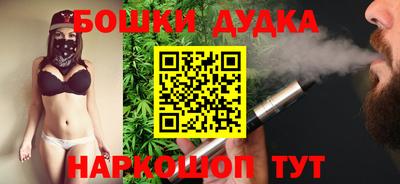 индика Гатчина