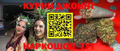 индика Гатчина