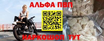 индика Гатчина
