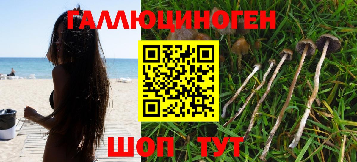 Галлюциногенные грибы мухоморы Изобильный