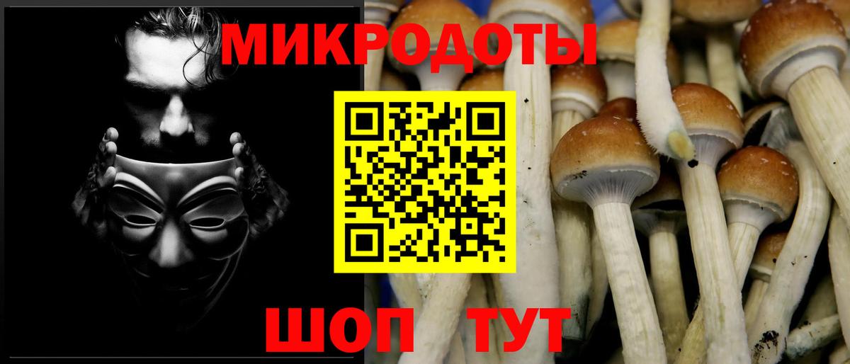 Изобильный  Псилоцибиновые грибы Psilocybine cubensis  Вход с VPN 